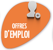 Offres d'emploi