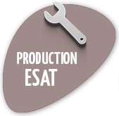 Production ESAT